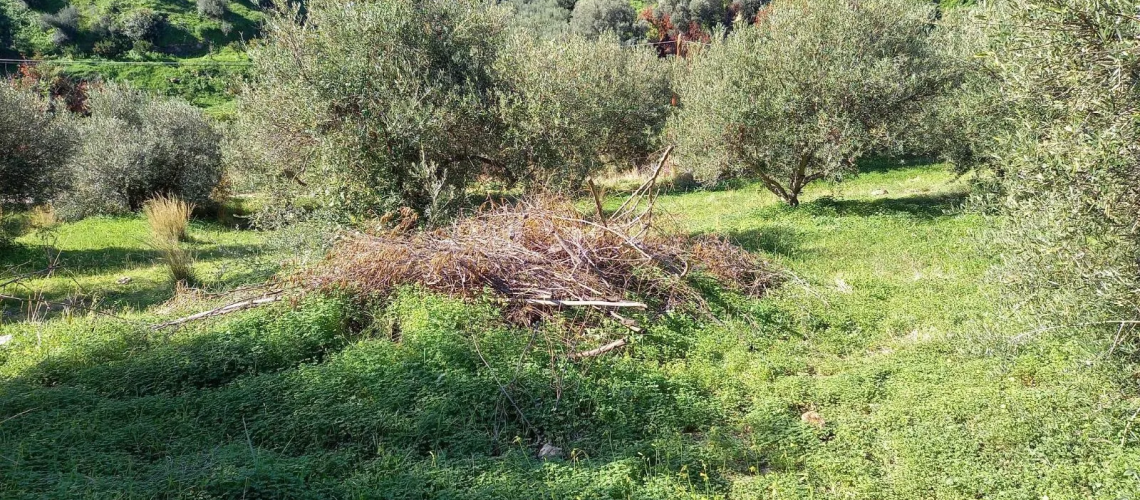 εικόνα ακινήτου