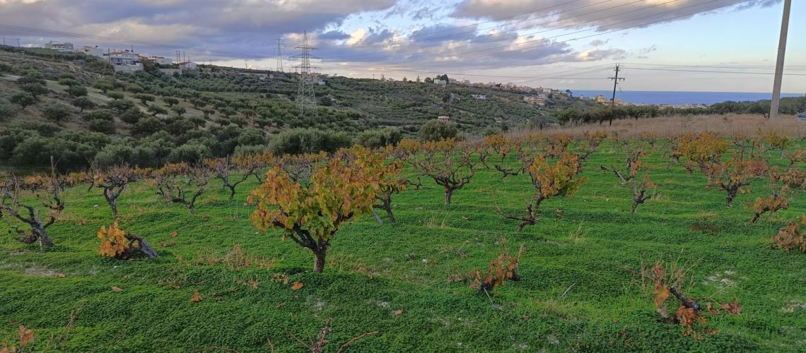 εικόνα ακινήτου