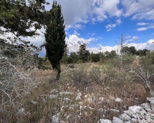 φωτογραφία ακινήτου