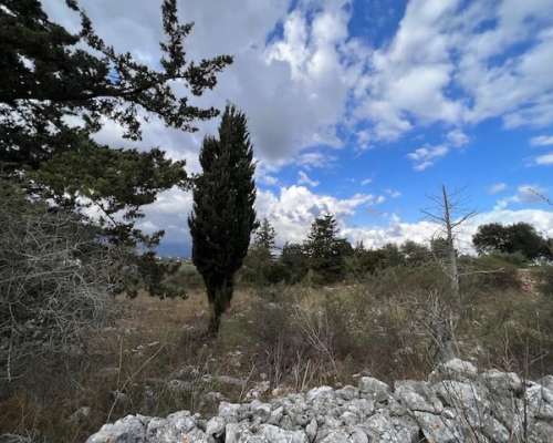 φωτογραφία ακινήτου