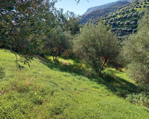 φωτογραφία ακινήτου