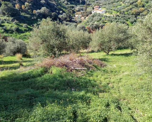 φωτογραφία ακινήτου