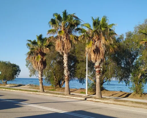 εικόνα ακινήτου