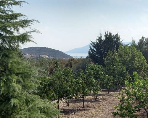 φωτογραφία ακινήτου