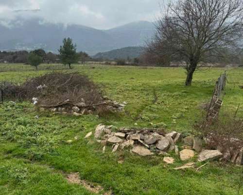 φωτογραφία ακινήτου